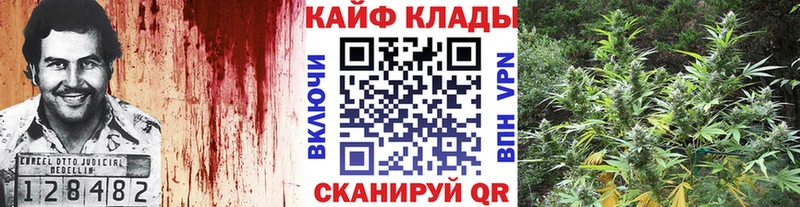Виды наркоты Шенкурск Каннабис  АМФЕТАМИН  ГАШИШ  Меф мяу мяу  Галлюциногенные грибы  Alpha PVP  КОКАИН 