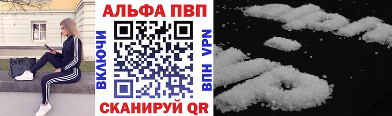 гидра ТОР  Шенкурск  Альфа ПВП СК КРИС 
